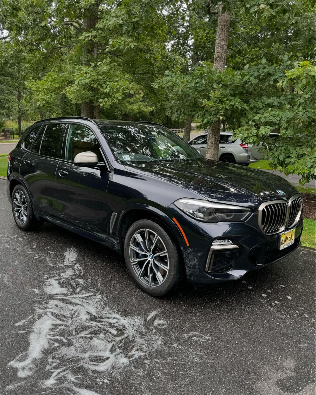 Professional detailing in action
