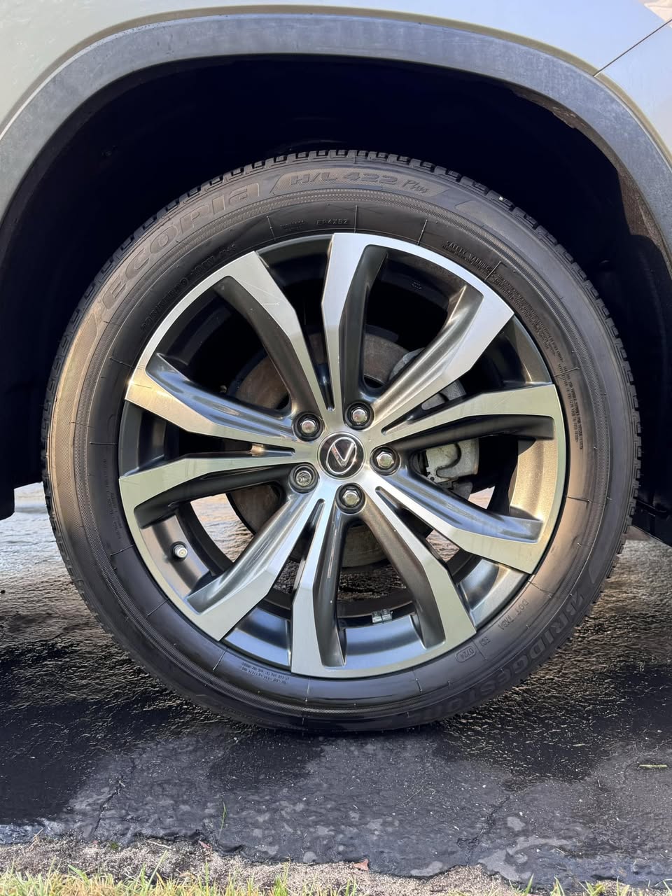 Professional detailing in action